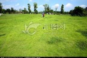 青青青草国产免费,国产影视的清新之作